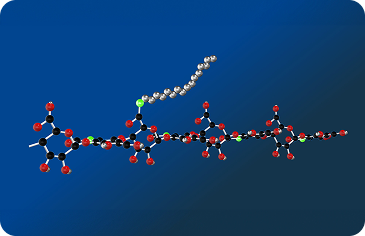 Molecular structure diagram of hyaluronic acid chain