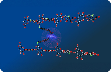 Molecular diagram showing hyaluronic acid chains cross-linked via HYADD 4 Technology
